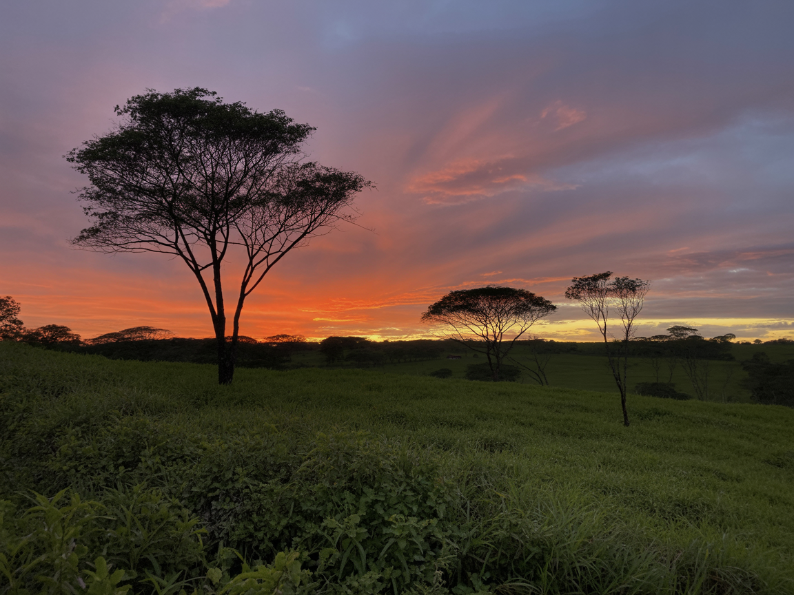 Pôr do sol sobre área rural