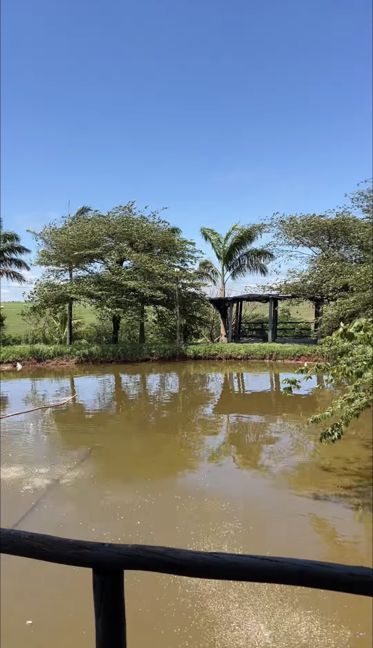 Águas de Magnólia